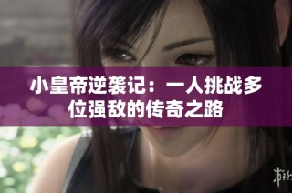 小皇帝逆袭记：一人挑战多位强敌的传奇之路