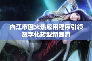 内江市因火热应用程序引领数字化转型新潮流