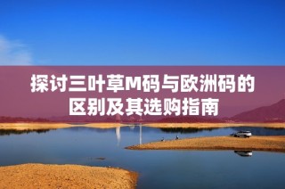 探讨三叶草M码与欧洲码的区别及其选购指南