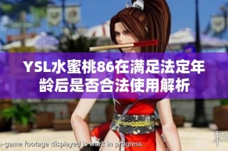 YSL水蜜桃86在满足法定年龄后是否合法使用解析