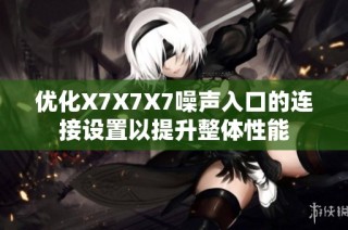 优化X7X7X7噪声入口的连接设置以提升整体性能