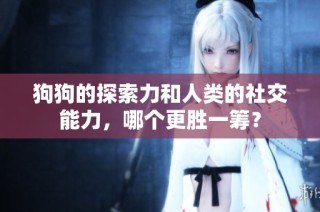 狗狗的探索力和人类的社交能力，哪个更胜一筹？