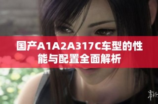 国产A1A2A317C车型的性能与配置全面解析