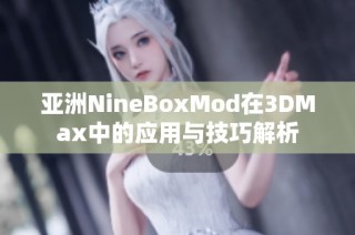 亚洲NineBoxMod在3DMax中的应用与技巧解析