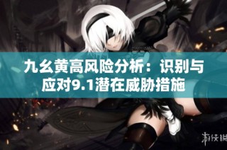 九幺黄高风险分析：识别与应对9.1潜在威胁措施