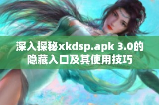深入探秘xkdsp.apk 3.0的隐藏入口及其使用技巧