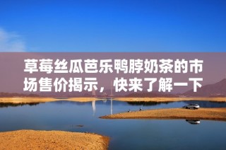 草莓丝瓜芭乐鸭脖奶茶的市场售价揭示，快来了解一下吧