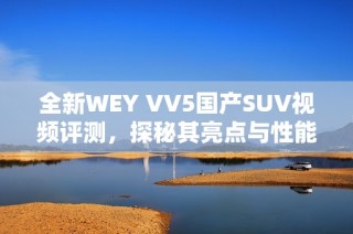 全新WEY VV5国产SUV视频评测，探秘其亮点与性能表现