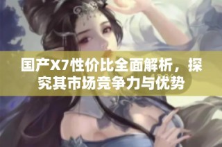 国产X7性价比全面解析，探究其市场竞争力与优势