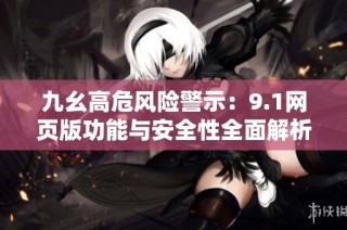 九幺高危风险警示：9.1网页版功能与安全性全面解析