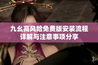 九幺高风险免费版安装流程详解与注意事项分享