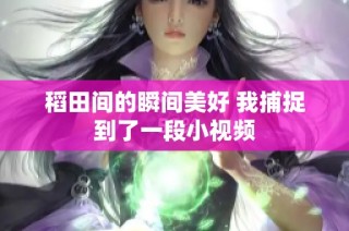 稻田间的瞬间美好 我捕捉到了一段小视频
