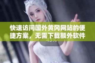 快速访问国外黄冈网站的便捷方案，无需下载额外软件