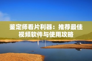 鉴定师看片利器：推荐最佳视频软件与使用攻略