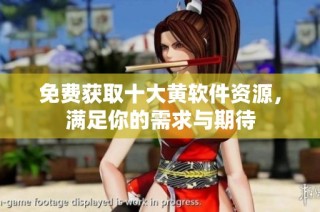 免费获取十大黄软件资源，满足你的需求与期待
