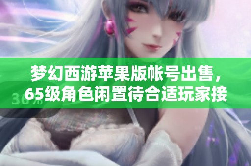 梦幻西游苹果版帐号出售，65级角色闲置待合适玩家接盘