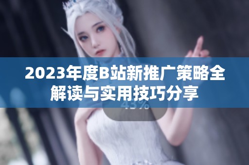 2023年度B站新推广策略全解读与实用技巧分享