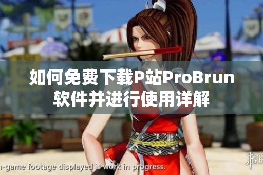 如何免费下载P站ProBrun软件并进行使用详解