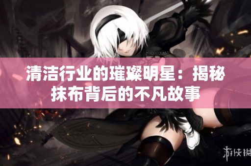 清洁行业的璀璨明星：揭秘抹布背后的不凡故事