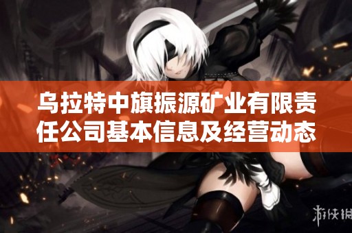 乌拉特中旗振源矿业有限责任公司基本信息及经营动态分析
