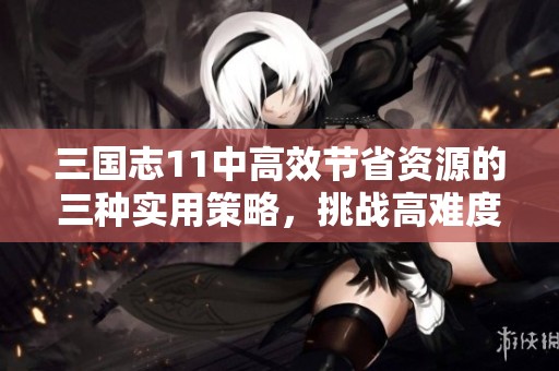 三国志11中高效节省资源的三种实用策略，挑战高难度必看技巧