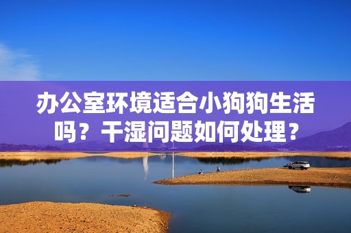 办公室环境适合小狗狗生活吗？干湿问题如何处理？