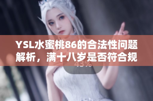 YSL水蜜桃86的合法性问题解析，满十八岁是否符合规定