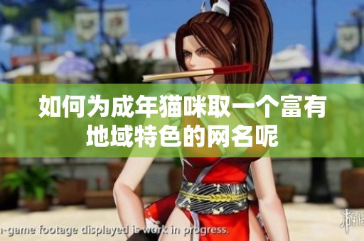 如何为成年猫咪取一个富有地域特色的网名呢