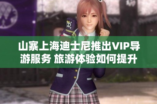 山寨上海迪士尼推出VIP导游服务 旅游体验如何提升