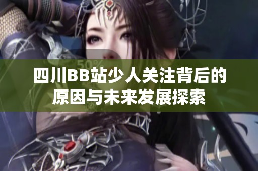 四川BB站少人关注背后的原因与未来发展探索