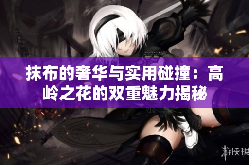抹布的奢华与实用碰撞：高岭之花的双重魅力揭秘