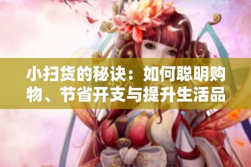 小扫货的秘诀：如何聪明购物、节省开支与提升生活品质