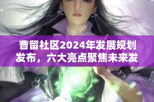 曹留社区2024年发展规划发布，六大亮点聚焦未来发展方向
