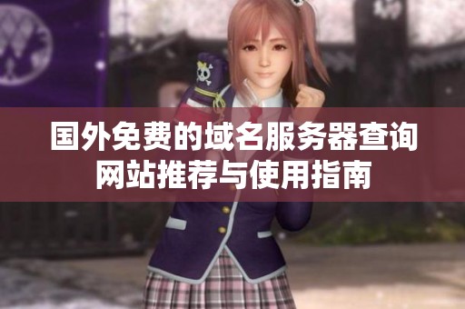 国外免费的域名服务器查询网站推荐与使用指南