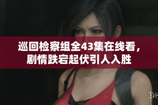 巡回检察组全43集在线看，剧情跌宕起伏引人入胜