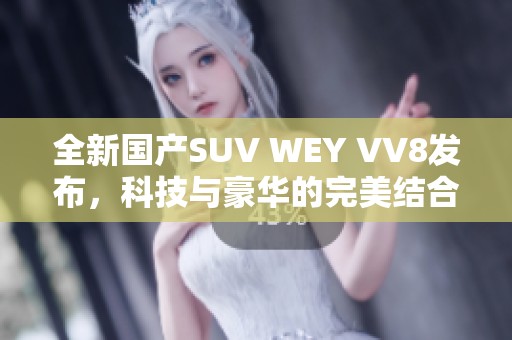 全新国产SUV WEY VV8发布，科技与豪华的完美结合