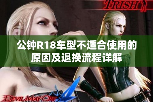 公钟R18车型不适合使用的原因及退换流程详解