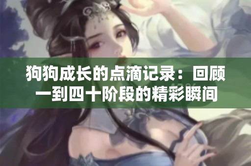 狗狗成长的点滴记录：回顾一到四十阶段的精彩瞬间