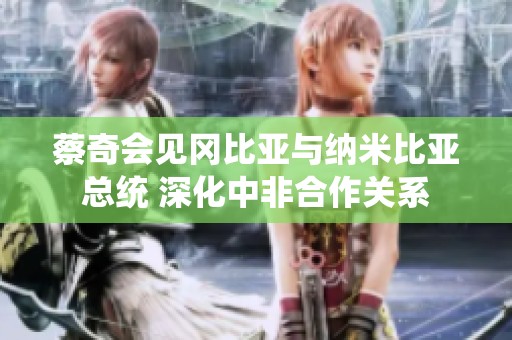 蔡奇会见冈比亚与纳米比亚总统 深化中非合作关系