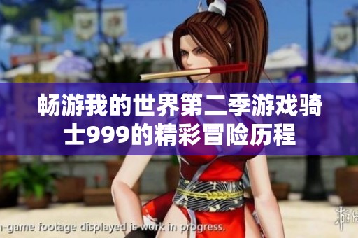 畅游我的世界第二季游戏骑士999的精彩冒险历程
