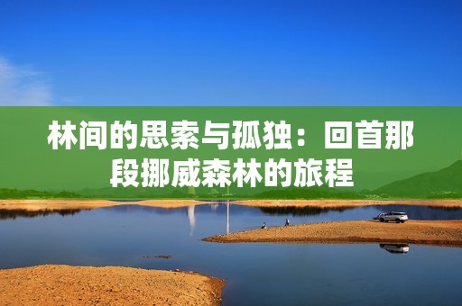 林间的思索与孤独：回首那段挪威森林的旅程