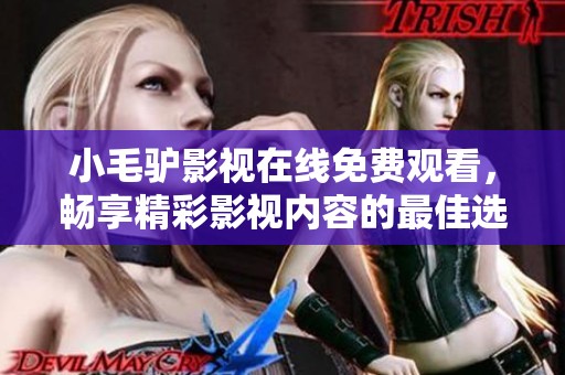 小毛驴影视在线免费观看，畅享精彩影视内容的最佳选择