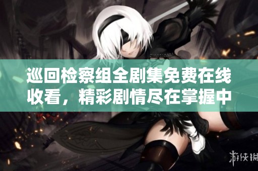 巡回检察组全剧集免费在线收看，精彩剧情尽在掌握中