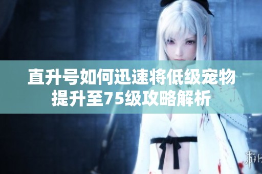 直升号如何迅速将低级宠物提升至75级攻略解析