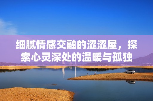 细腻情感交融的涩涩屋，探索心灵深处的温暖与孤独