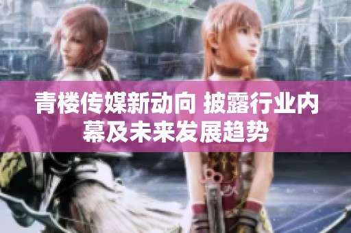 青楼传媒新动向 披露行业内幕及未来发展趋势