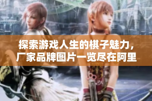 探索游戏人生的棋子魅力，厂家品牌图片一览尽在阿里巴巴