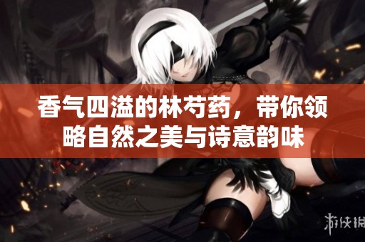 香气四溢的林芍药，带你领略自然之美与诗意韵味