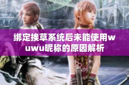 绑定挨草系统后未能使用wuwu昵称的原因解析