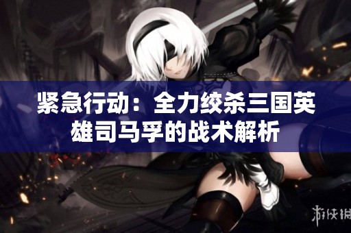 紧急行动：全力绞杀三国英雄司马孚的战术解析